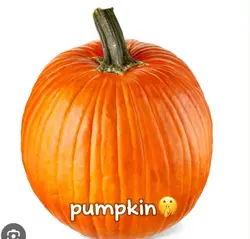 PUMPKINNN