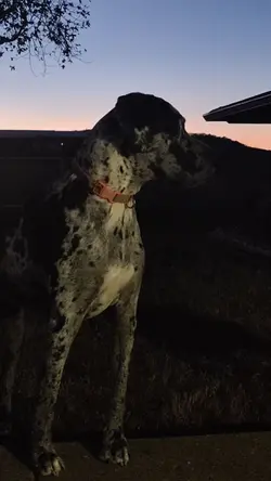 oh hi nice to meet u