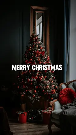 Xmas x 4 pics 
