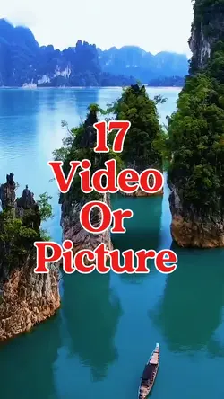 17 video or picture