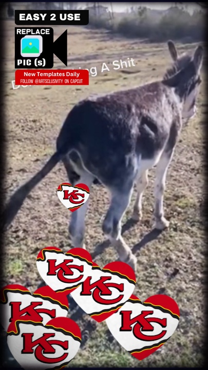 DonKey