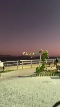 lifestyle 🇧🇷✨🕊️