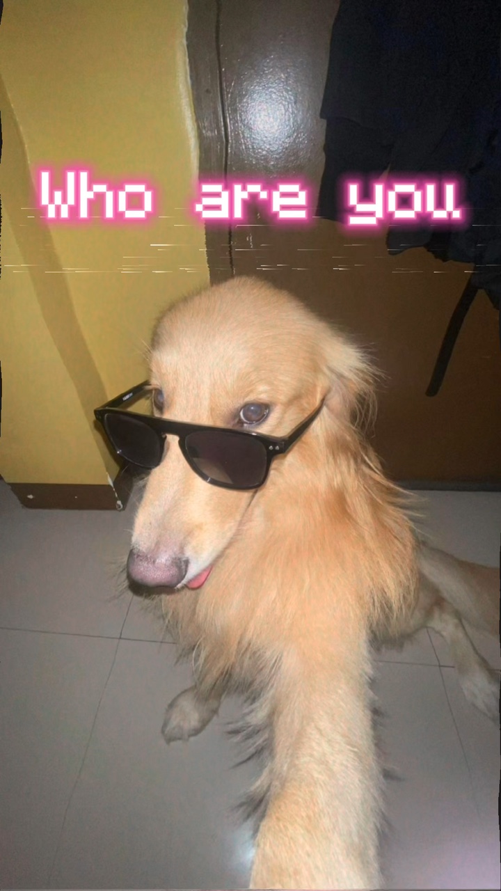 Qui es-tu 