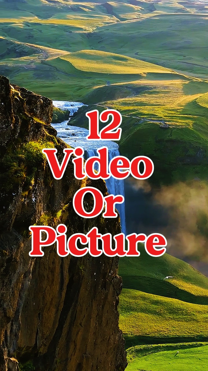 12 video or picture 