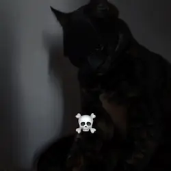 I AM BATM- 