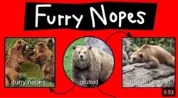 Furry nope lesson