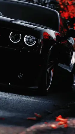 Transition Beautiful