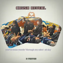 crush reveal