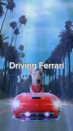 Driving Ferrari