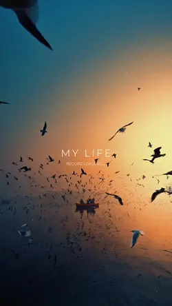 MY LIFE
