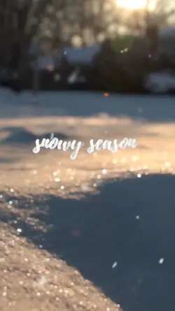 Snowy Season 2023