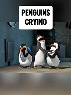 PENGUINS CRYING