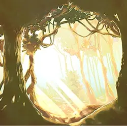 🇺🇸🇬🇧🇨🇦🇦🇺 nah 🇩🇪🇮🇳🇵🇱🇮🇪