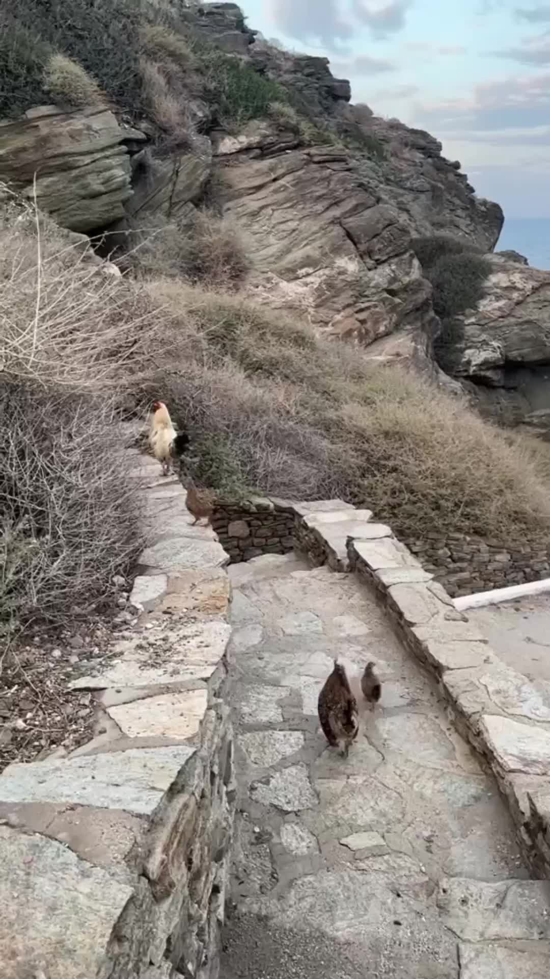 el geçişi 
