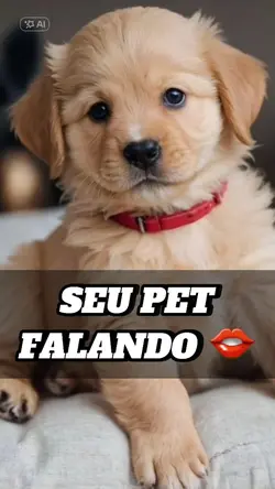 pet falando
