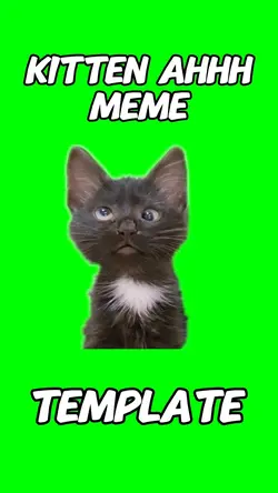 Kitten huh meme