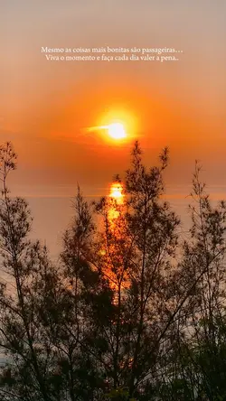 Viva o momento 