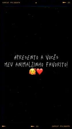 Animal de estimação 