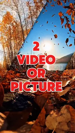 2 video or picture 