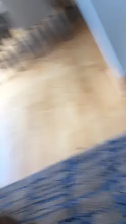 This my little doggy