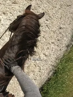 my spark was back 