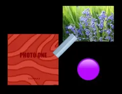 MICROWAAAAAAAAAAAAVE