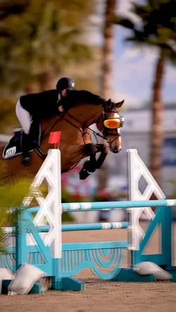 HORSE W SUNGLASSESπ»β¨
