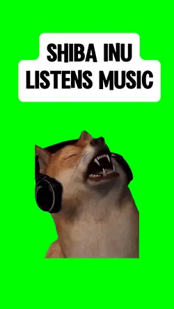 SHIBA INU SINGING