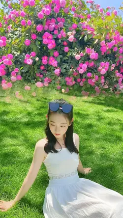 Spring Blossoms