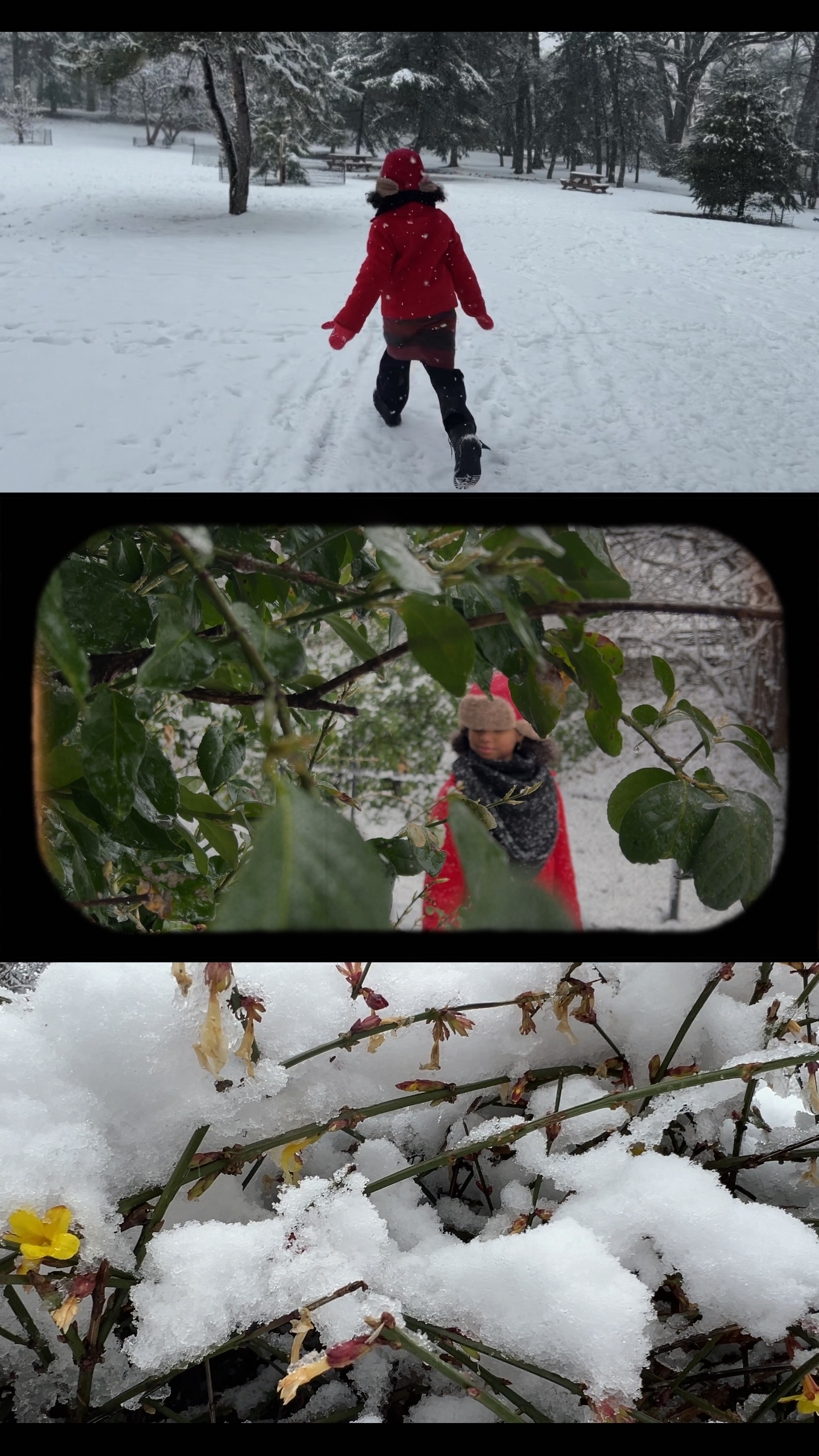 Horizontal videos 