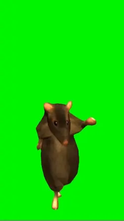 DANCING RAT DANCE |