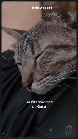 Dia internacional do