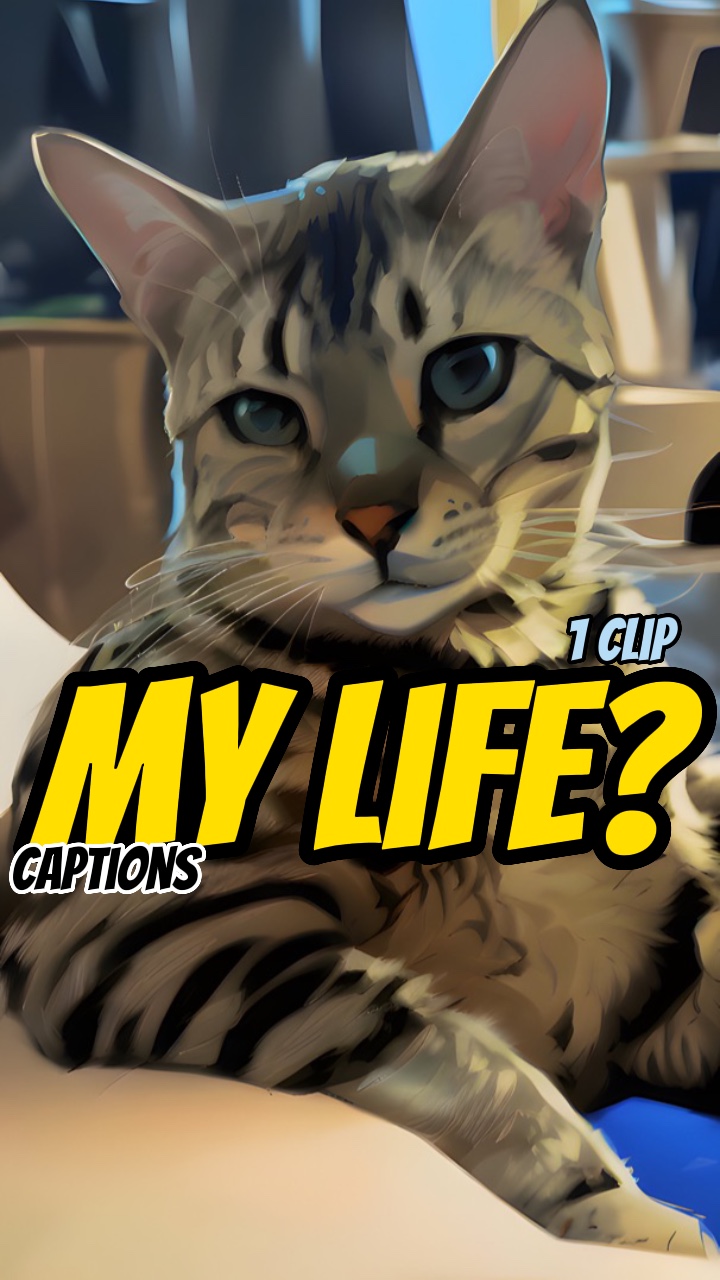 My Life update