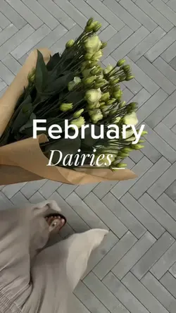 February Diaries