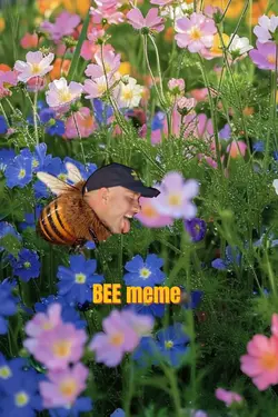 BEE meme