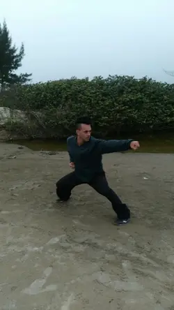 Chinese Martial Arts