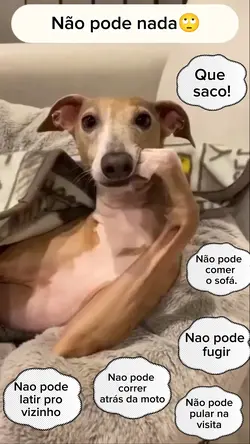 Não pode!