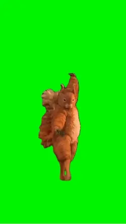 Fall Squirrel Dance