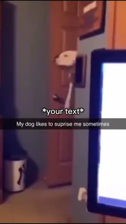 Dog surprise
