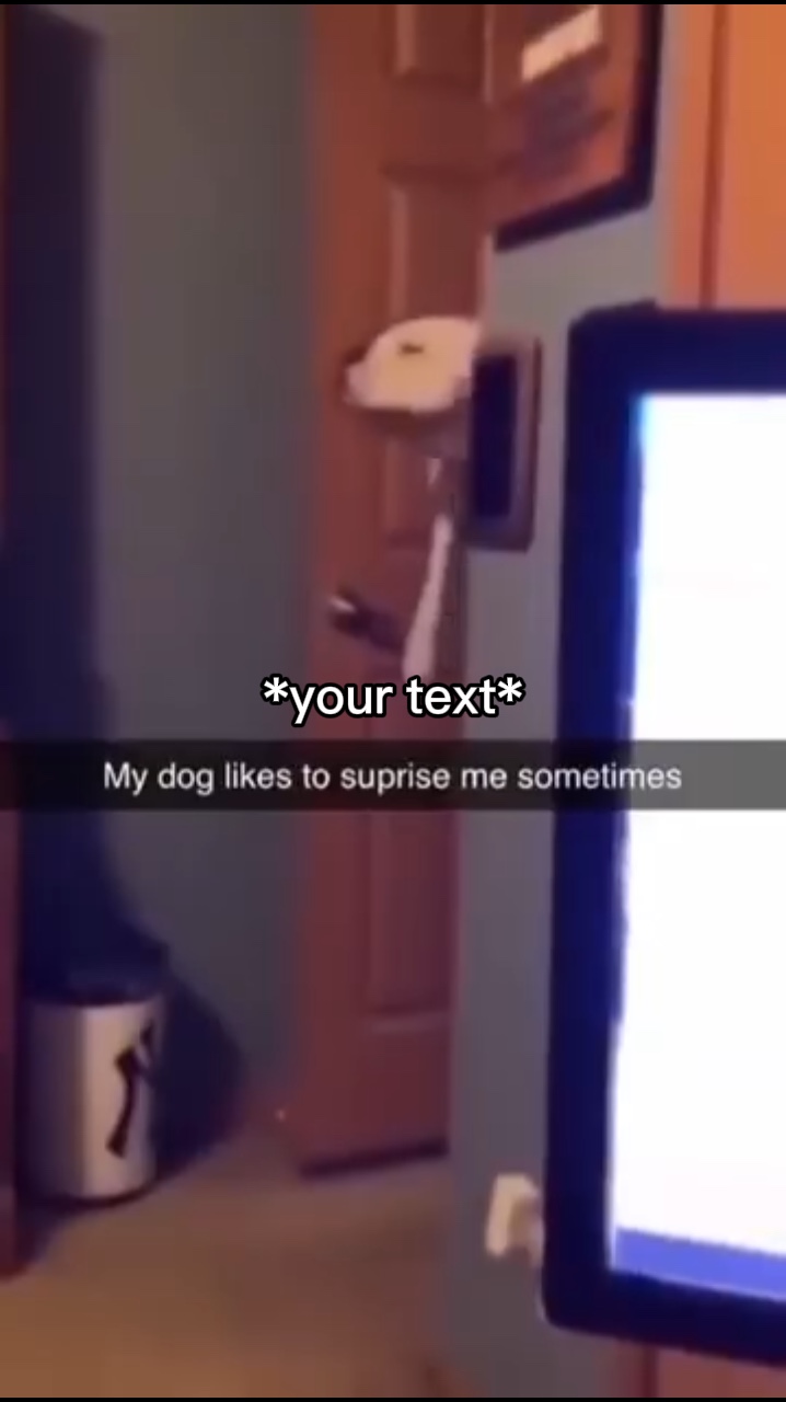Dog surprise