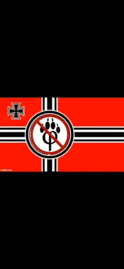 I love my flags