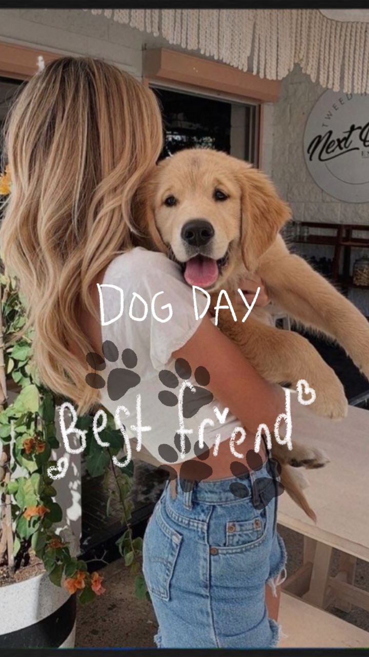 Dog day 🐶
