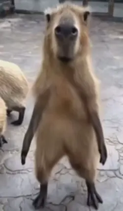 Send this to someone