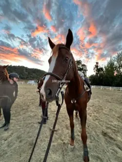 0 problems with him💗