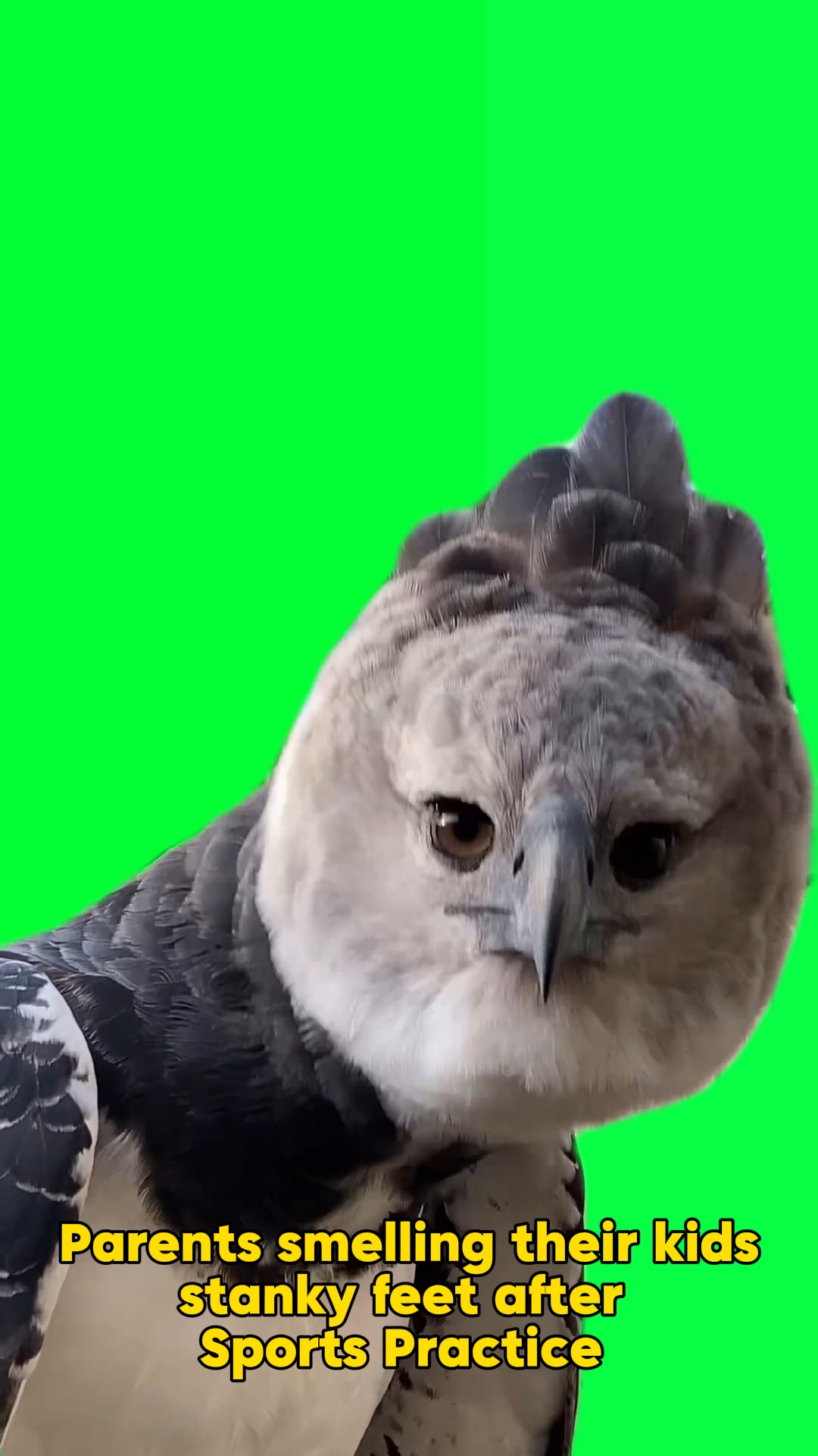 Quando você é pai