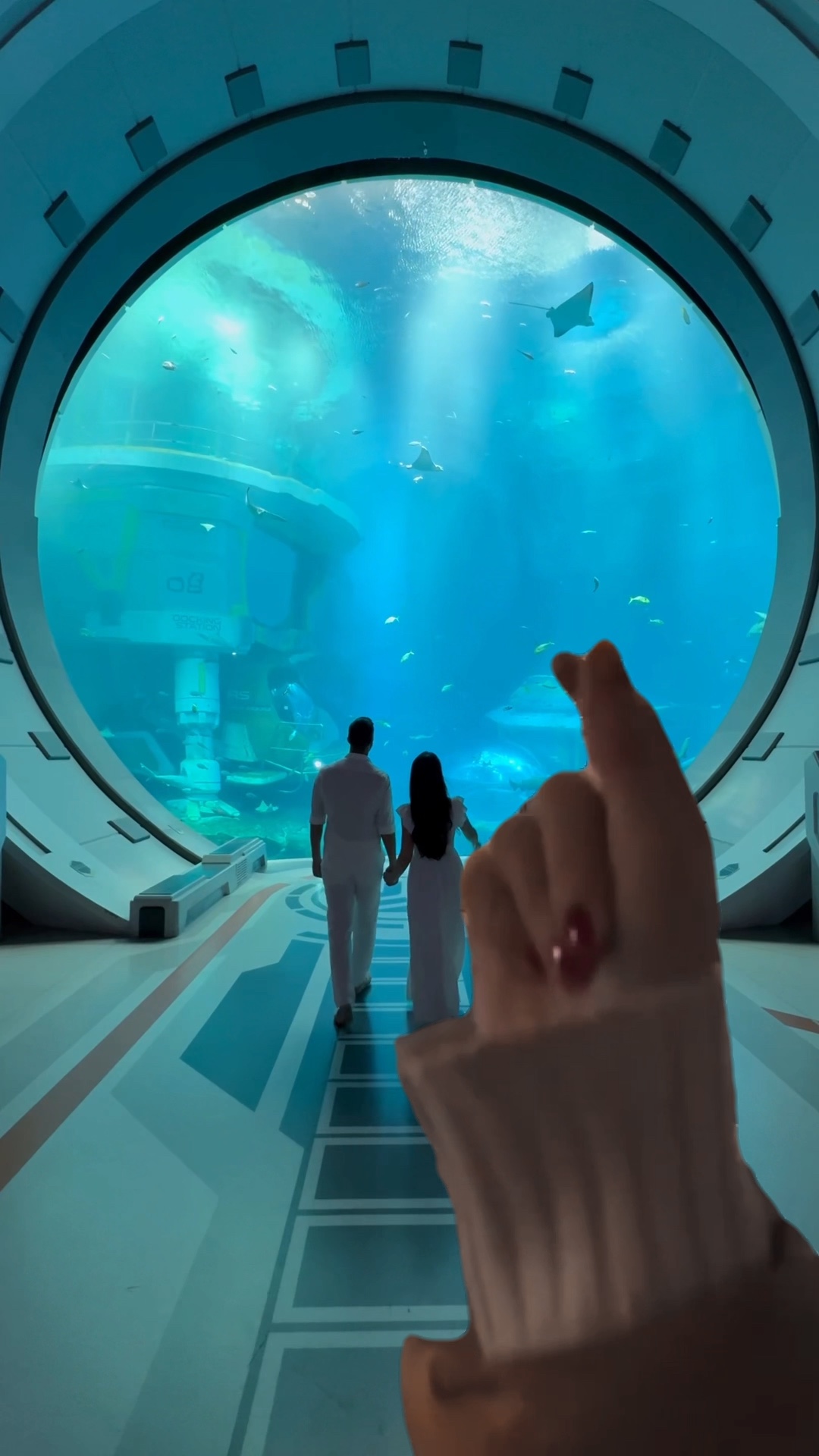 Transición de la mano