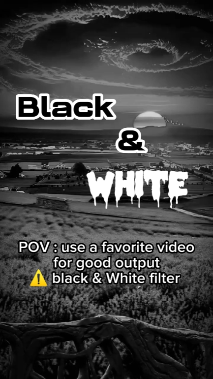 Blanco y Negro 