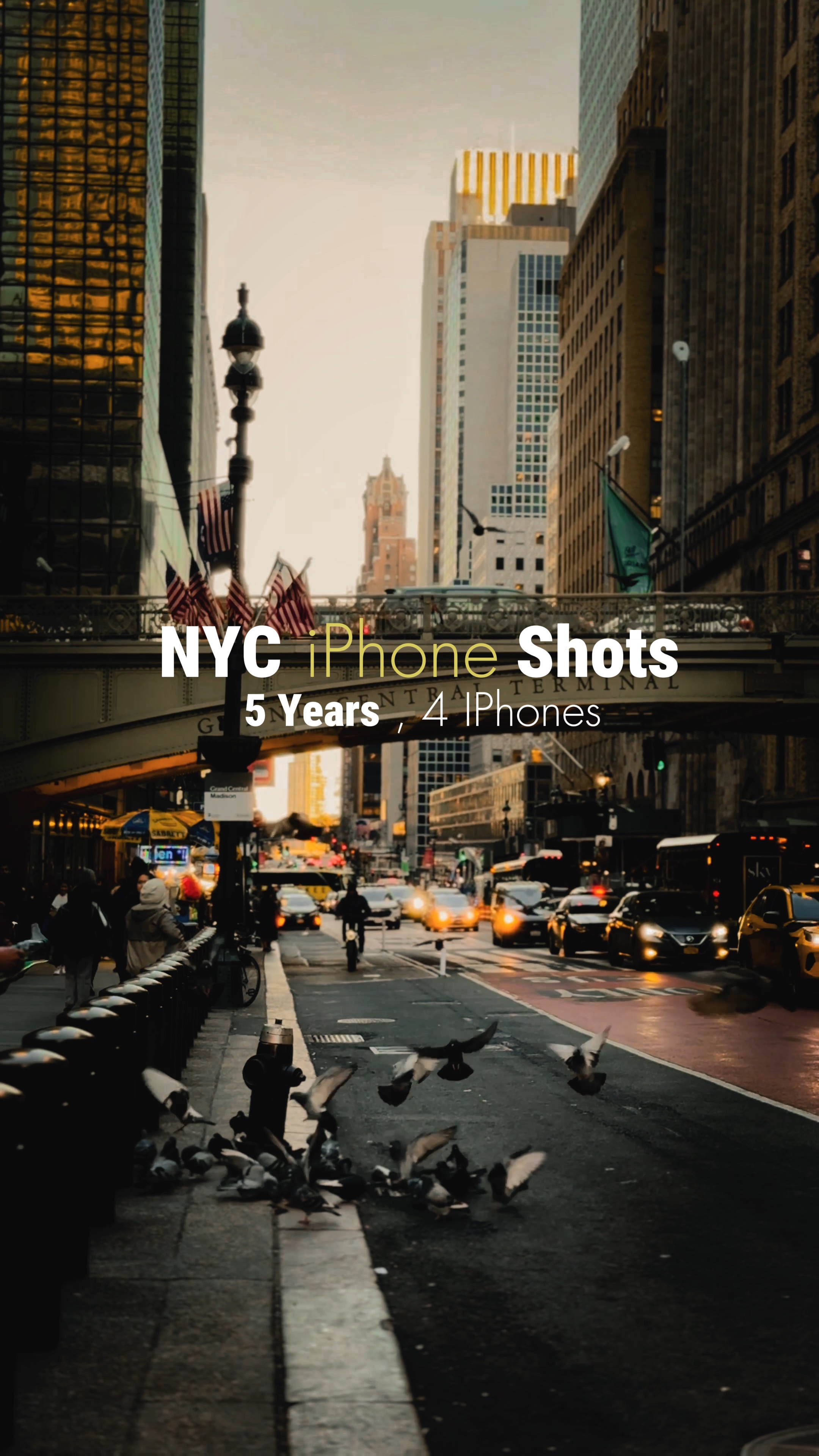 iPhone Videos of NY