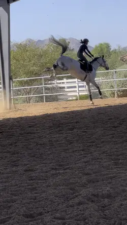 Fireball☄️🔥⚠️NOT REAL⚠️