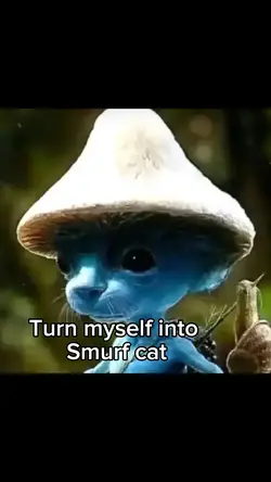 Smurf cat filter